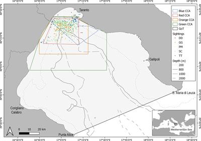 Application of a multi-species bio-economic modelling approach to explore fishing traits within eligible cetacean conservation areas in the Northern Ionian Sea (Central Mediterranean Sea)